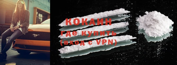 твердый Козловка
