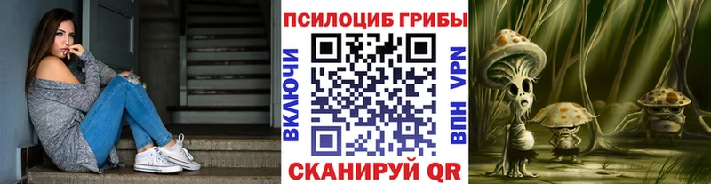 мега маркетплейс  Крымск  Галлюциногенные грибы Psilocybine cubensis 